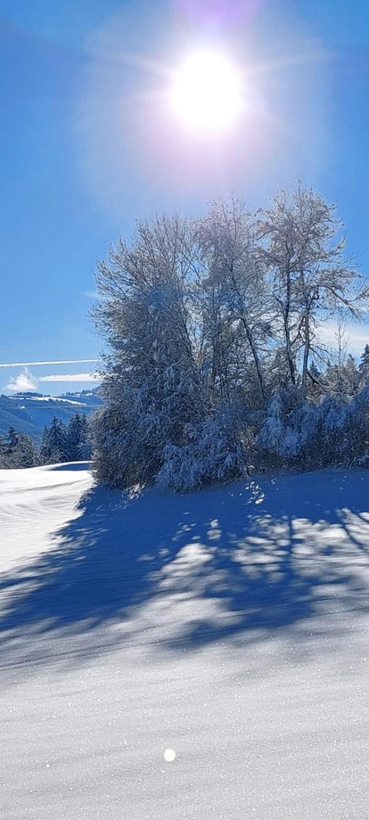 Traumplatz Im Allgaeu Rettenberg Ngoại thất bức ảnh